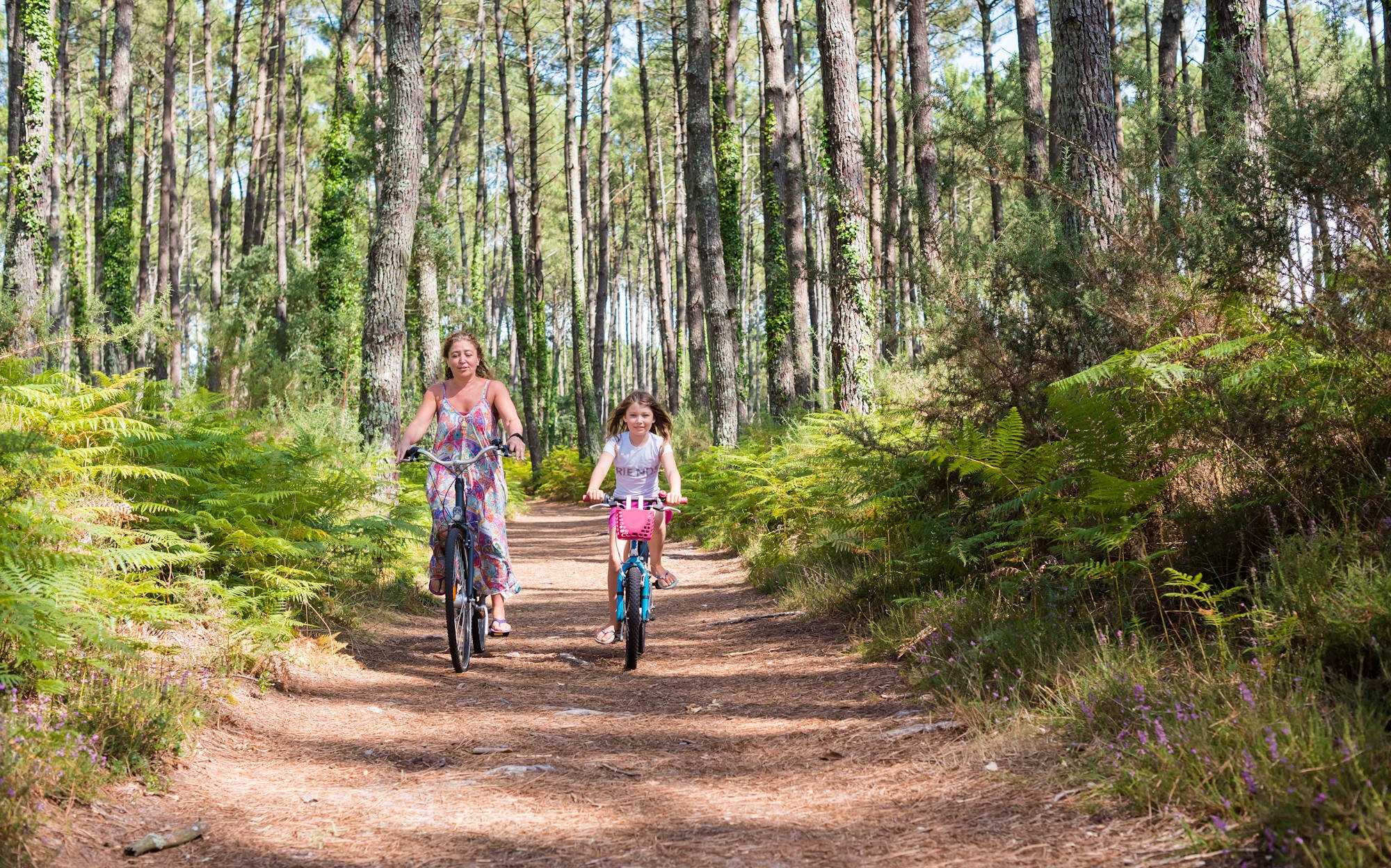 media.CFH_Village_Milano_Marittima_anteprima_Evento_Cerviavventura_Casa_delle_Farfalle